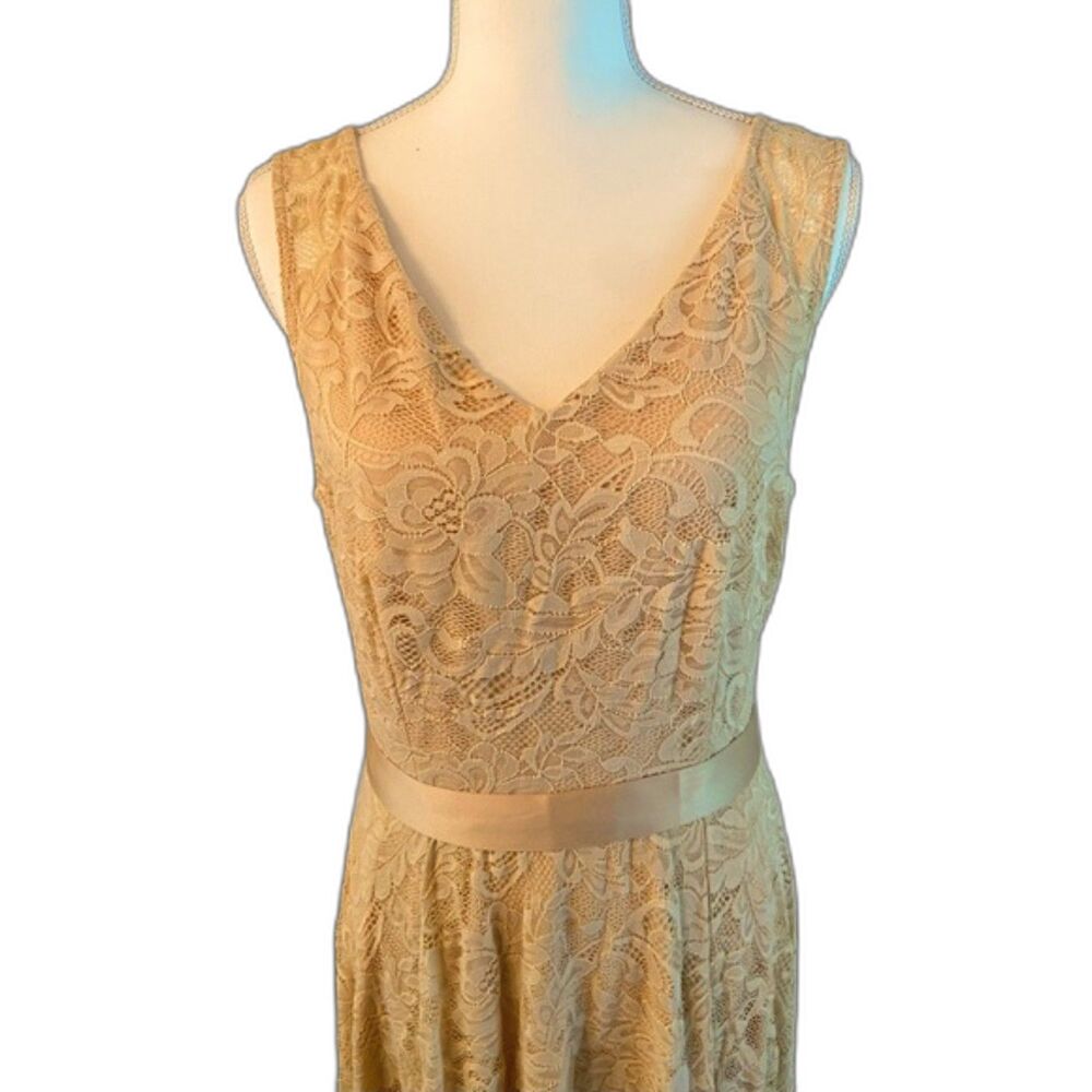Berry Love High Low Formal Dress XL Chiffon Champagne (Formal or Wedding) - Picture 6 of 13